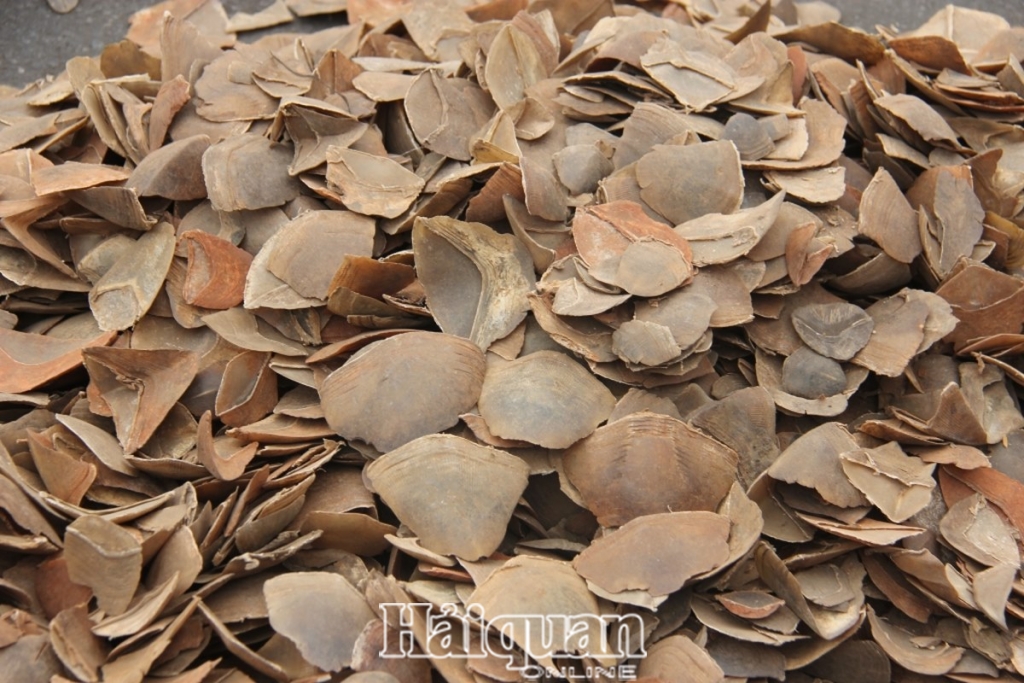 chu dong kiem soat rui ro de chong buon lau 109456