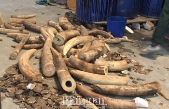 Chủ động kiểm soát rủi ro để chống buôn lậu
