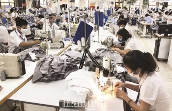 Dệt may Việt Nam trước thử thách thương mại điện tử