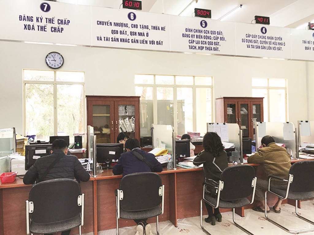 doanh nghiep lanh du vi phap luat chong cheo xung dot