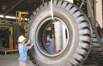 Hai thái cực đối lập trong kết quả kinh doanh ngành cao su thiên nhiên và săm lốp