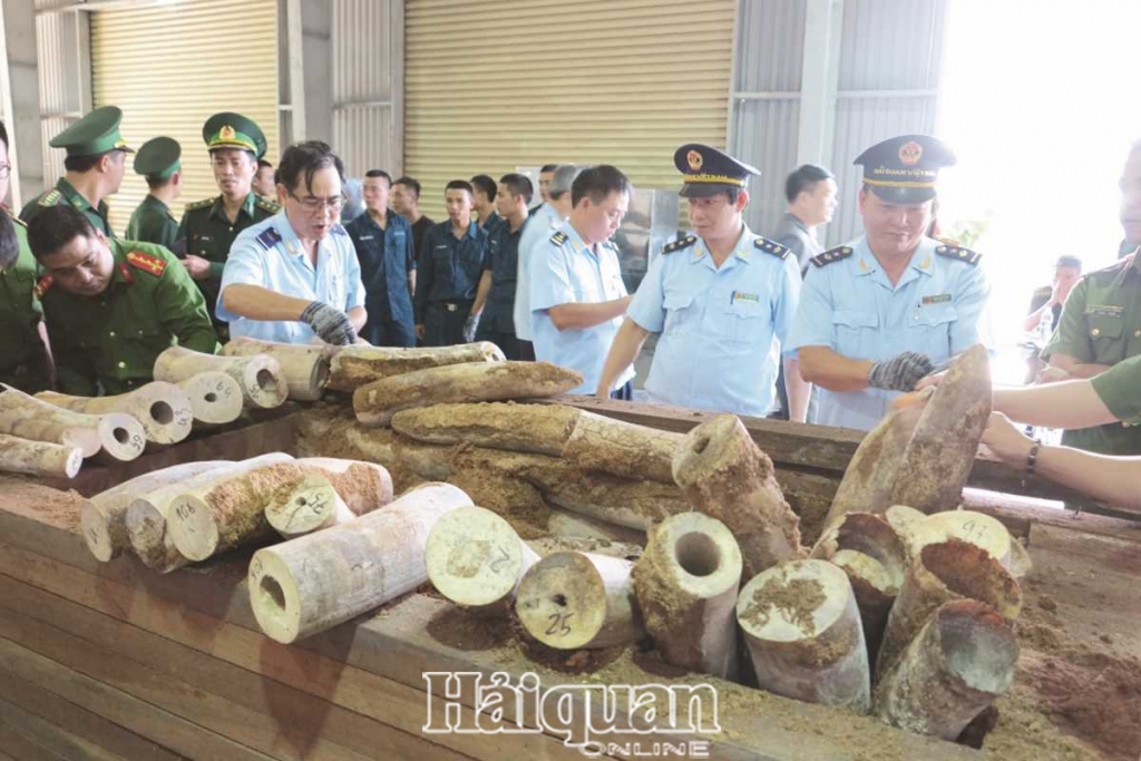 hai quan ngan chan co hieu qua toi pham buon ban dong vat hoang da xuyen quoc gia