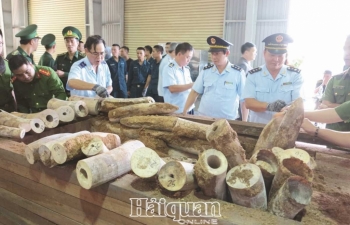 Hải quan ngăn chặn có hiệu quả tội phạm buôn bán động vật hoang dã xuyên quốc gia