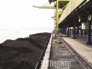 Than cho điện lo “sốt vó” nếu dịch Covid-19 kéo dài