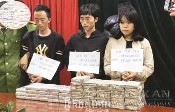 Đấu tranh với tội phạm ma túy: Xuất hiện nhiều đường dây xuyên quốc gia