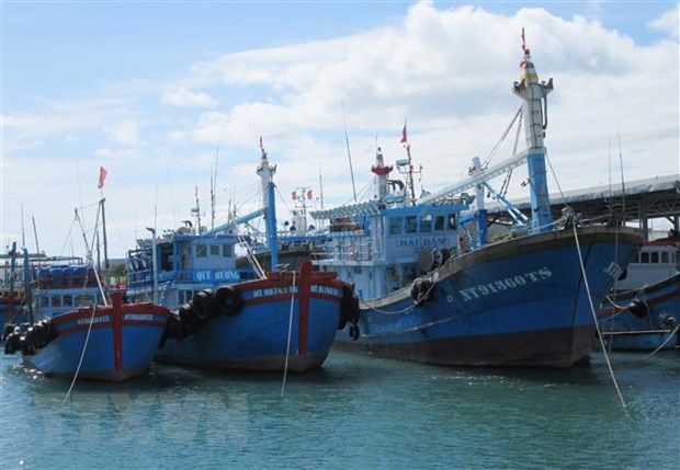 Tàu cá khai thác xa bờ của ngư dân neo đậu tại bến cá Mỹ Tân (xã Thanh Hải, huyện Ninh Hải, Ninh Thuận). (Ảnh: Nguyễn Thành/TTXVN).