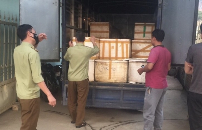 Phát hiện ô tô vận chuyển gần 1,3 tấn nội tạng động vật