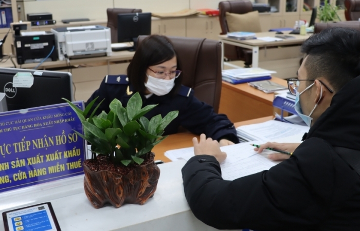 Hải quan Quảng Ninh thu ngân sách đạt gần 930 tỷ đồng trong tháng 1/2021