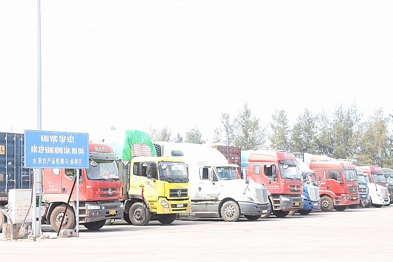 Bãi tập kết hàng hóa tại lối mở Km3+4. Ảnh: Q.H