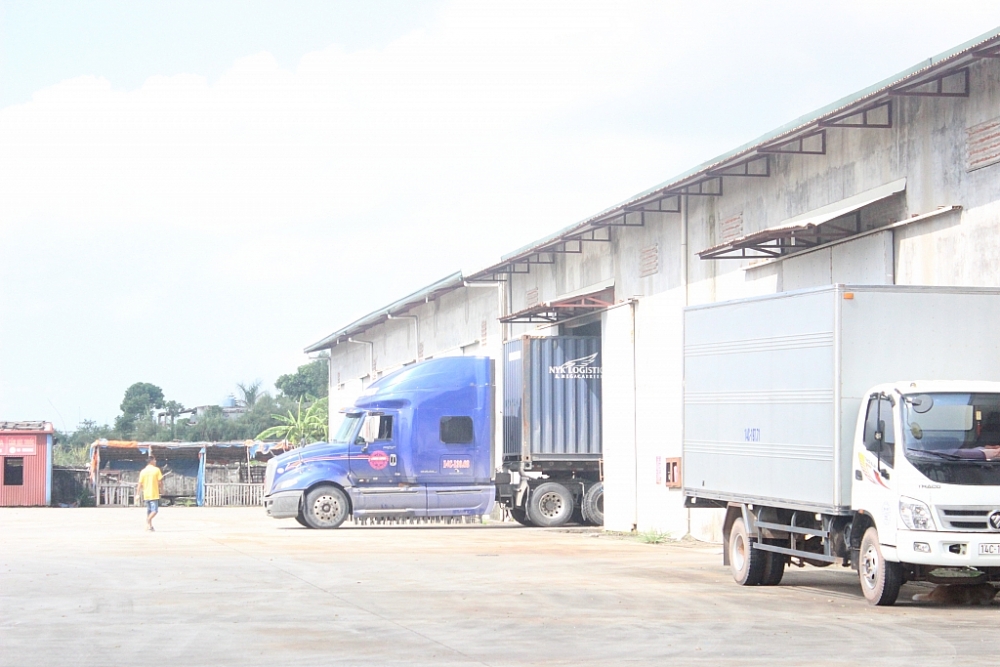Hoạt động tại một kho ngoại quan trên địa bàn TP Móng Cái, Quảng Ninh. Ảnh: Q.H