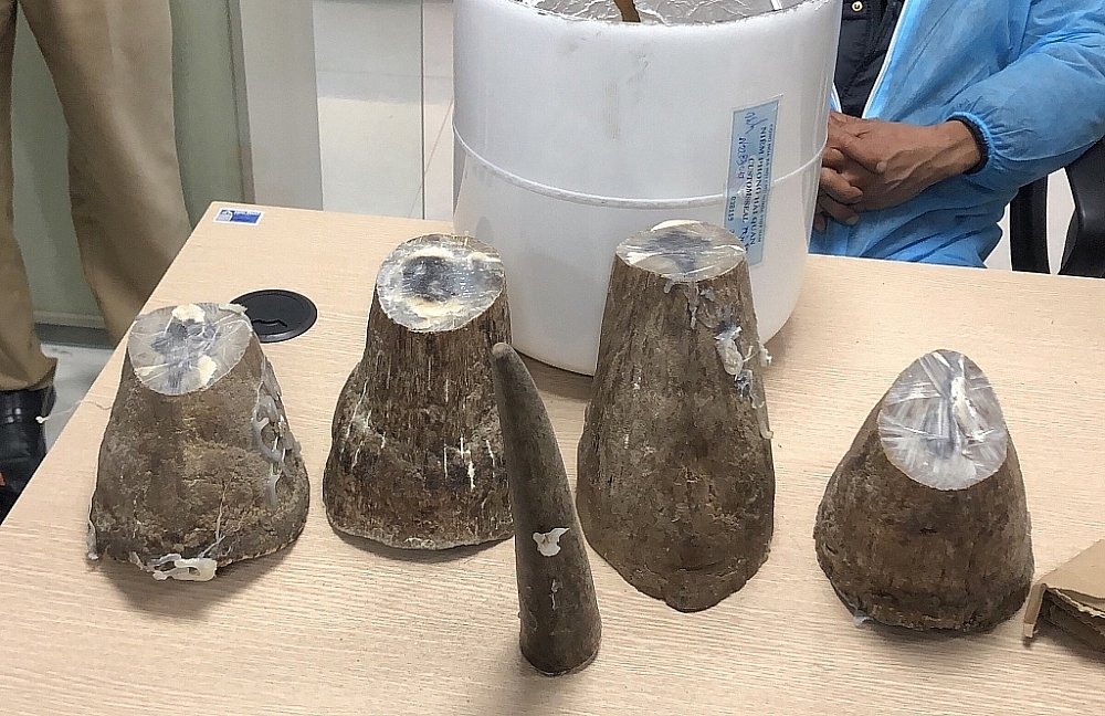 Tang vật 7,8 kg sừng tê giác.