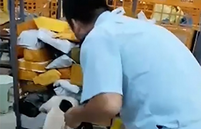 Tặng Bằng khen cho 2 tập thể và 8 cá nhân Hải quan về thành tích bắt ma túy