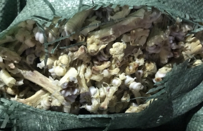 Quảng Ninh: Chặn đứng 6,5 tấn xương chân gà, lòng lợn