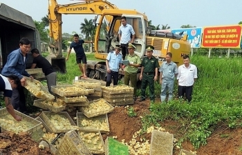 Bắt giữ xe tải chở 8.000 con gà giống không rõ nguồn gốc