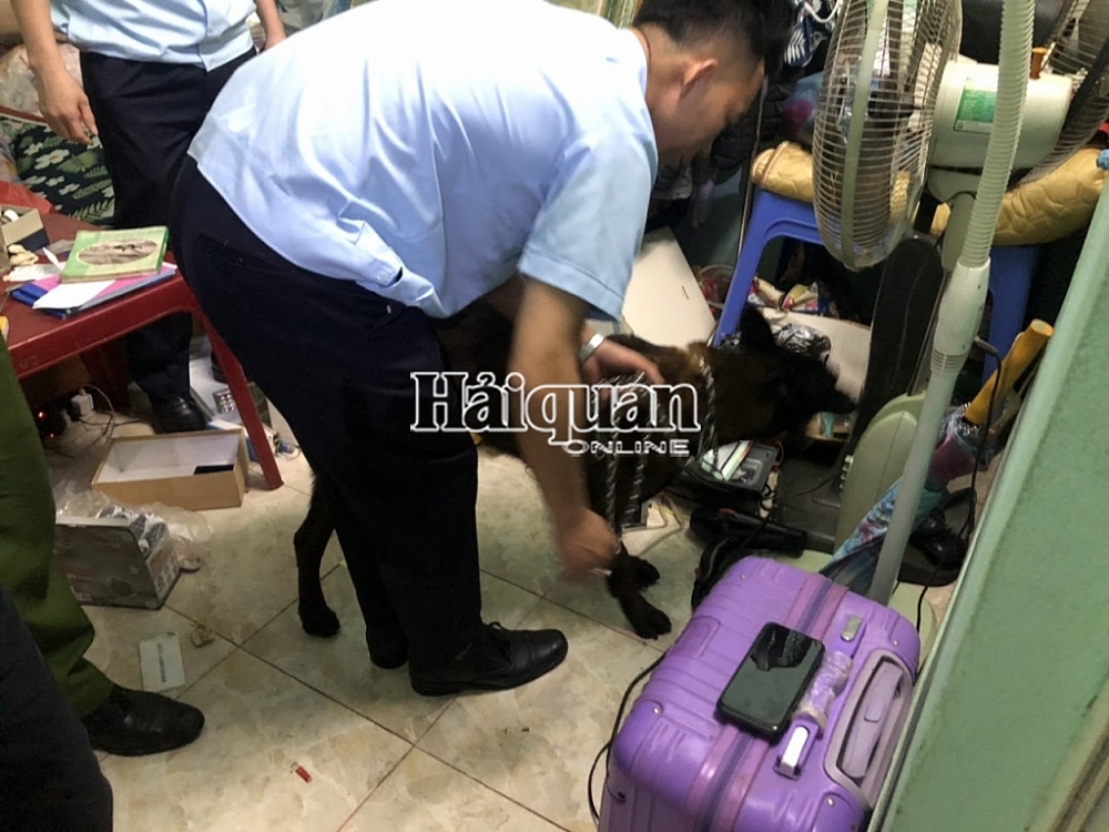 Lực lượng Hải quan sử dụng chó nghiệp vụ kiểm tra.