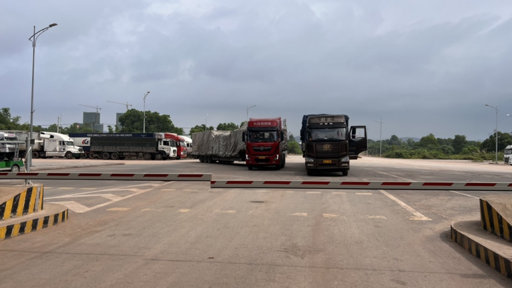 163 xe linh liện ô tô, điện tử nhập khẩu qua cầu Bắc Luân II