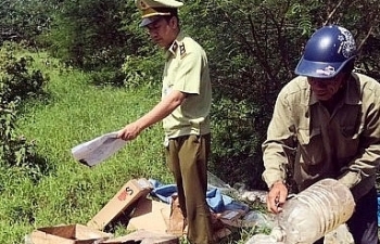 Vận chuyển trái phép 300kg chân gà đông lạnh