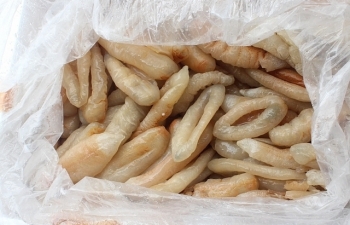 Tịch thu, tiêu hủy gần 1,8 tấn chả mực, hải sâm nhập lậu