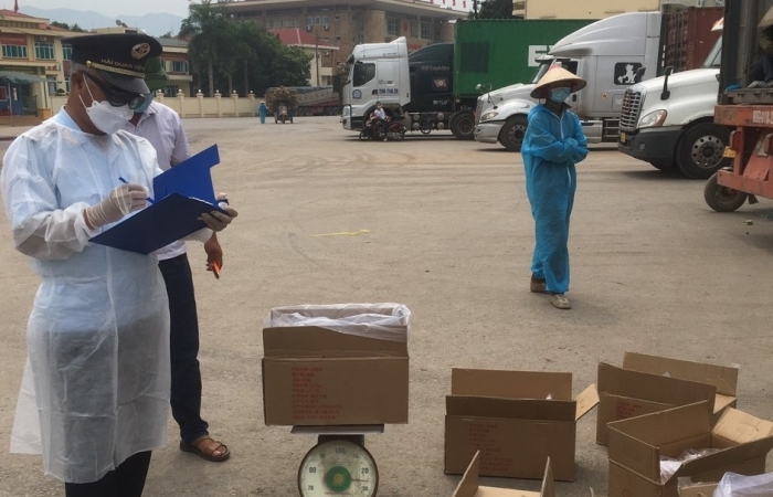 Đầu tư Khu kho bãi hàng hóa tại cửa khẩu Hoành Mô hơn 75.000m2