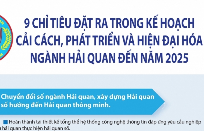 Infographics: 9 chỉ tiêu về phát triển và hiện đại hóa ngành Hải quan đến năm 2025