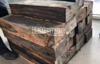 Hải quan Cha Lo phát hiện 2 vụ vận chuyển trái phép gỗ Mun
