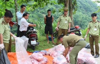 Tăng cường kiểm soát chống buôn bán, vận chuyển lợn, sản phẩm từ lợn nhập lậu