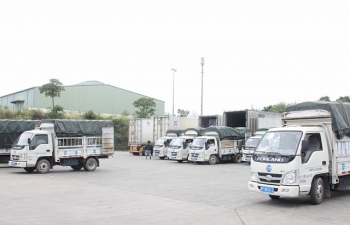 Cần phân biệt sản phẩm thủy sản và động vật thủy sinh xuất khẩu sang Trung Quốc