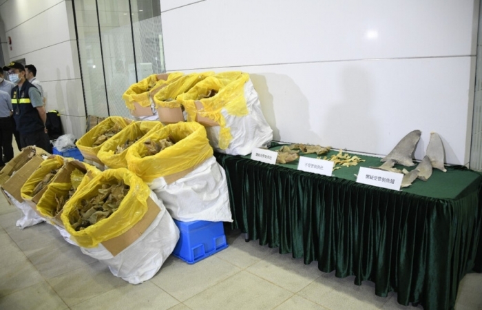 Hơn 300 kg bóng cá khô và vi cá mập trong lô hàng chuyển phát nhanh
