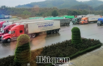 Tồn gần 1.200 xe, hàng xuất khẩu sang Trung Quốc ngày càng khó