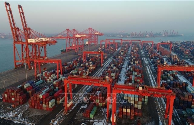 OECD dự báo triển vọng kinh tế thế giới sáng sủa hơn