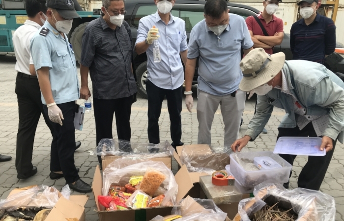 Hải quan TPHCM phát hiện hàng trăm thùng hàng nhập lậu ngụy trang sò huyết