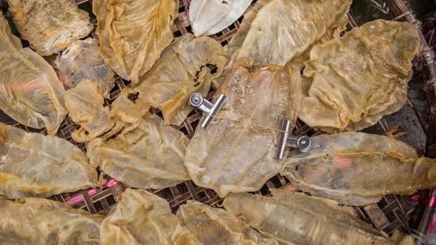 Phát hiện lô hàng nghi thuộc danh mục CITES qua đường chuyển phát nhanh