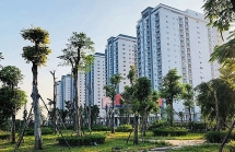 tphcm doanh nghiep bat dong san gap kho ve thu tuc chinh sach