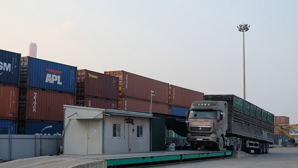 kho, bãi, cảng nào không đáp ứng về điều kiện tập kết, kiểm tra, giám sát hải quan, cơ quan Hải quan không bố trí lực lượng làm thủ tụcẢnh: N.Linh
