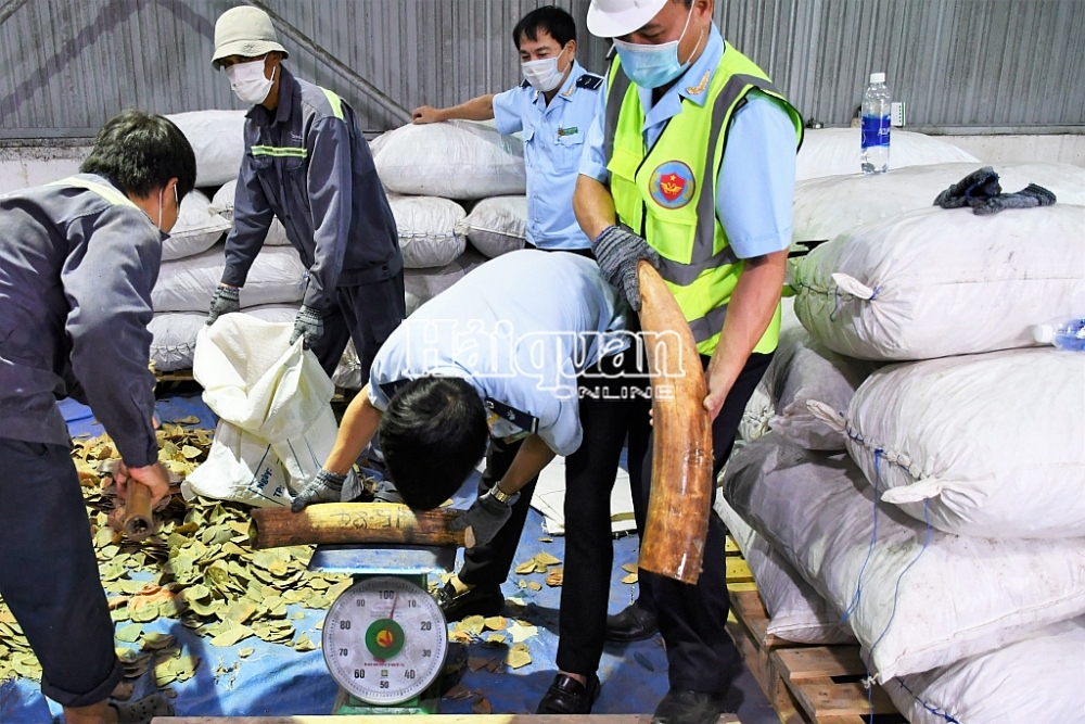 Lực lượng chức năng tiến hành kiểm đếm tang vật. Ảnh: Q.Sơn