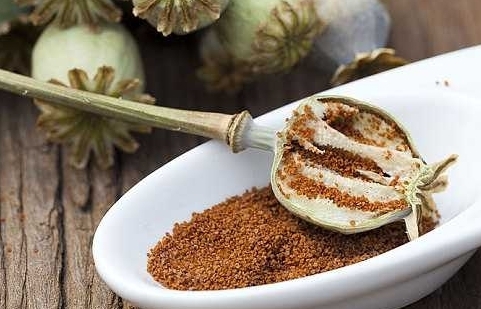 Cần quản lý chặt chẽ mặt hàng hạt cây thuốc phiện