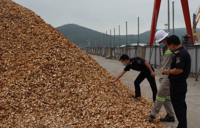 Kim ngạch xuất nhập khẩu qua Hải quan Thanh Hóa tăng 31%