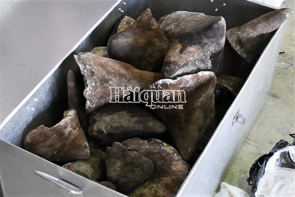 Qua khám xét đã phát hiện hơn 138kg sừng động vật nghi là sừng tê giác, hơn 3,1 tấn xương động vật nghi là xương của động vật thuộc Danh mục các loài động vật, thực vật hoang dã quy định trong các phụ lục của Công ước về buôn bán quốc tế các loài động vật, thực vật hoang dã nguy cấp (CITES).
