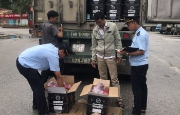 Thanh long xuất khẩu qua cửa khẩu Thanh Thủy tăng đột biến