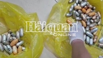 Tặng giấy khen 2 tập thể, 11 cá nhân Hải quan TP Hồ Chí Minh về thành tích bắt ma túy