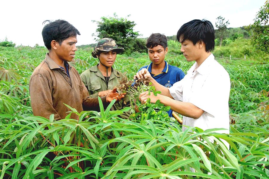 quy dinh quan ly su dung kinh phi su nghiep thuc hien khuyen nong