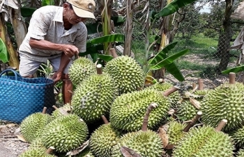 Tổng cục Thuế lên tiếng về thông tin 