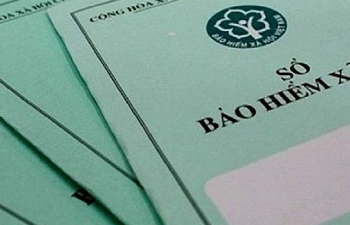 Thanh tra 80 doanh nghiệp nợ BHXH, BHYT, Bảo hiểm thất nghiệp