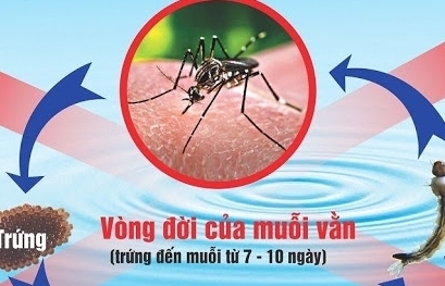 Hà Nội: Tăng số ca mắc sốt xuất huyết