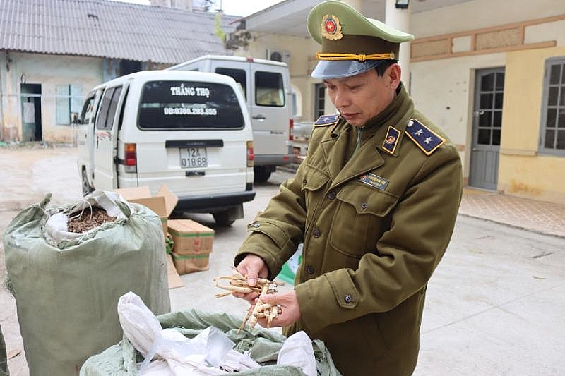 Lực lượng chức năng kiểm tra số tang vật thuốc bắc. Ảnh: QLTT LS