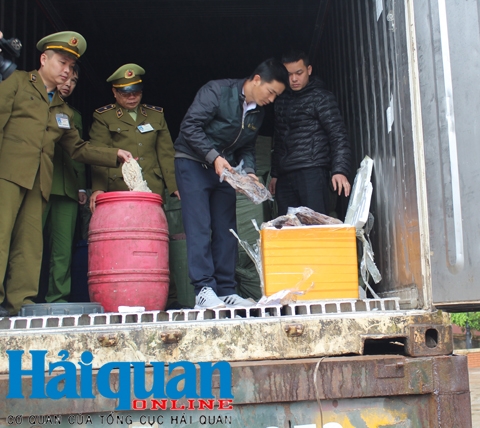 lang son bat giu tren 11 tan noi tang dong vat khong co nguon goc xuat xu