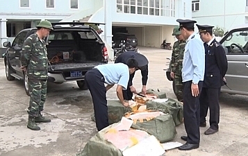 hai quan huu nghi bat va tieu huy 300 kg san pham tu lon nhap lau