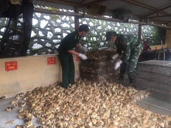 Thu giữ 5.500 con gia cầm giống không rõ nguồn gốc xuất xứ