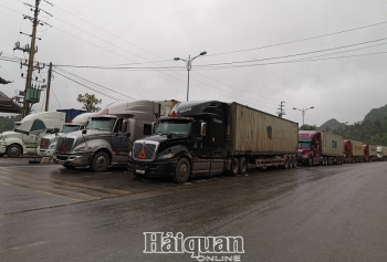Cấp bách tìm giải pháp giảm ùn ứ nông sản tại các cửa khẩu Lạng Sơn