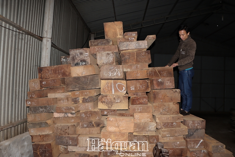 Doanh nghiệp tư nhân Quỳnh Nga (thị trấn Hương Khê) vừa nhập về gần 600 m3 gỗ từ Lào để hoạt động sản xuất và kinh doanh. Ảnh: Phan Trâm